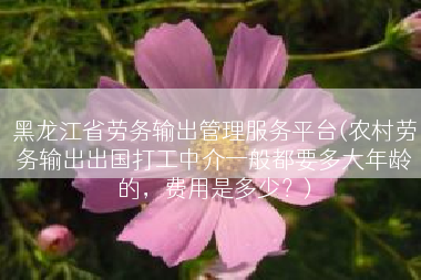 黑龙江省劳务输出管理服务平台(农村劳务输出出国打工中介一般都要多大年龄的，费用是多少？)