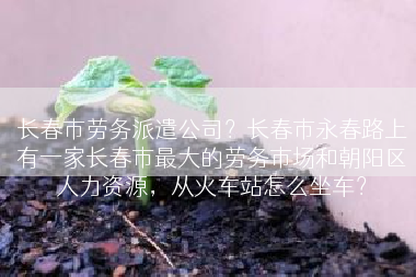 长春市劳务派遣公司？长春市永春路上有一家长春市最大的劳务市场和朝阳区人力资源，从火车站怎么坐车？
