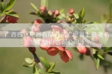 广西四达电器有限公司（世界上最著名的4大HR咨询公司）