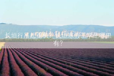 长垣行吊起重机？长垣寒假工学生哪里有？