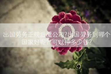 出国劳务正规派遣公司?出国劳务到哪个国家好呢？可以挣多少钱?