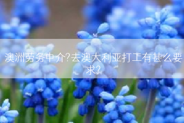 澳洲劳务中介?去澳大利亚打工有甚么要求?
