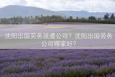 沈阳出国劳务派遣公司？沈阳出国劳务公司哪家好？