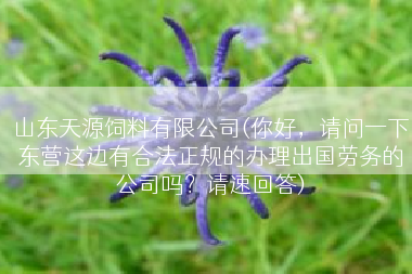 山东天源饲料有限公司(你好，请问一下东营这边有合法正规的办理出国劳务的公司吗？请速回答)