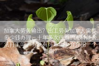 加拿大劳务输出？出工劳务加拿大需要多少钱办理，十年多次往返的那种能合法打工吗，有没有可靠的中介介绍一个谢谢？