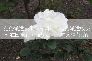 劳务派遣费用结算明细？劳务派遣收费标准国家有明确规定？？求大神帮助？