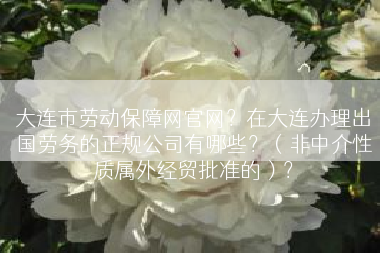 大连市劳动保障网官网？在大连办理出国劳务的正规公司有哪些？（非中介性质属外经贸批准的）？