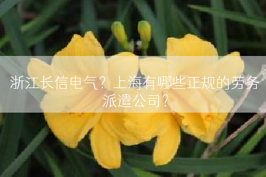 浙江长信电气？上海有哪些正规的劳务派遣公司？
