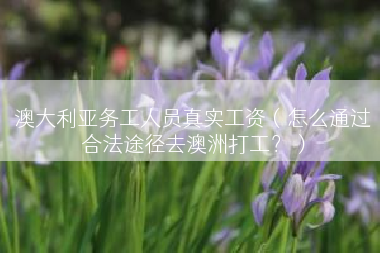 澳大利亚务工人员真实工资（怎么通过合法途径去澳洲打工？）
