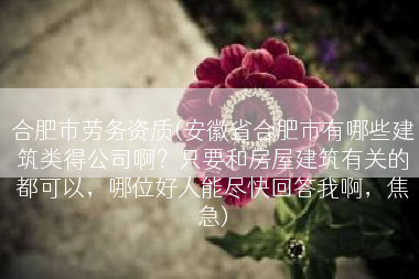 合肥市劳务资质(安徽省合肥市有哪些建筑类得公司啊？只要和房屋建筑有关的都可以，哪位好人能尽快回答我啊，焦急)