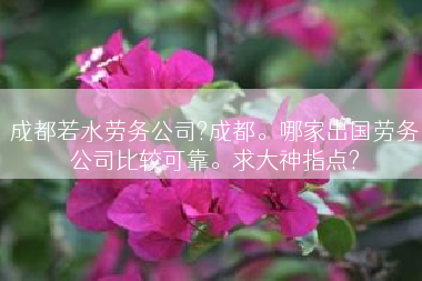 成都若水劳务公司?成都。哪家出国劳务公司比较可靠。求大神指点?