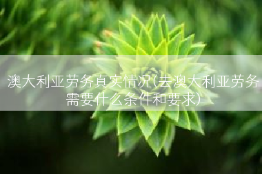澳大利亚劳务真实情况(去澳大利亚劳务需要什么条件和要求)