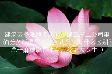 建筑劳务派遣资质（中建三局二公司里的劳务派遣员工与正式员工有什么区别？急~~麻烦说具体点，我是大专生!）