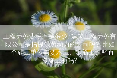 工程劳务费税率是多少?建筑工程劳务有限公司是指提供劳动力的公司吗？比如一个施工单位需要木工，钢筋工这些直接施工的吗?