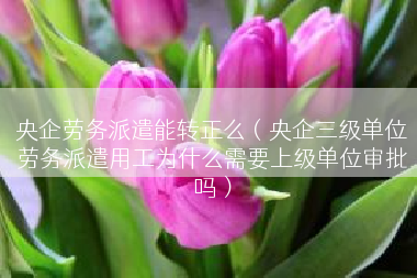央企劳务派遣能转正么（央企三级单位劳务派遣用工为什么需要上级单位审批吗）
