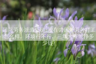 国际劳务派遣公司?现在去国外劳务打工怎么样，环境行不行，三年大概能挣多少钱?