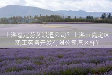 上海嘉定劳务派遣公司？上海市嘉定区职工劳务开发有限公司怎么样？