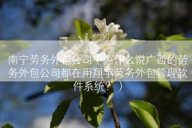 南宁劳务外包公司（为什么说广西的劳务外包公司都在用翔宇劳务外包管理软件系统？）