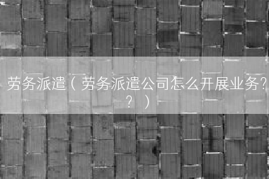 劳务派遣（劳务派遣公司怎么开展业务？？）