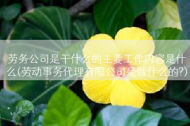 劳务公司是干什么的主要工作内容是什么(劳动事务代理有限公司是做什么的?)