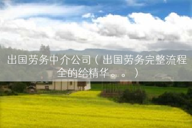 出国劳务中介公司（出国劳务完整流程 全的给精华。。）
