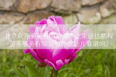 北京众齐劳务有限公司？北京通达鹏程劳务服务有限公司，这地儿靠谱吗？