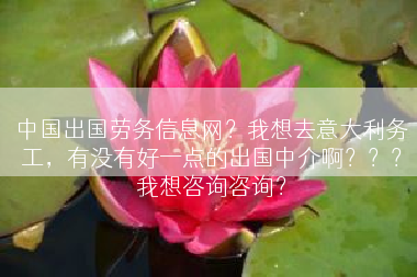 中国出国劳务信息网？我想去意大利务工，有没有好一点的出国中介啊？？？我想咨询咨询？