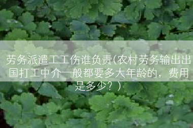 劳务派遣工工伤谁负责(农村劳务输出出国打工中介一般都要多大年龄的，费用是多少？)
