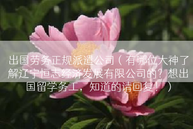 出国劳务正规派遣公司（有哪位大神了解辽宁恒志经济发展有限公司的？想出国留学务工，知道的请回复！）
