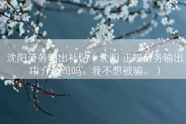 沈阳劳务输出补贴（沈阳 正规劳务输出中介公司吗。我不想被骗。）