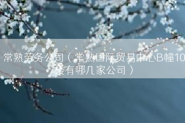 常熟劳务公司（常熟国际贸易中心B幢10楼有哪几家公司）
