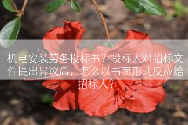 机电安装劳务投标书？投标人对招标文件提出异议后，怎么以书面形式反应给招标人？