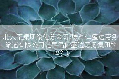 北大荒集团绥化分公司(滕州仁盛达劳务派遣有限公司是青岛仁盛达劳务集团的吗？)
