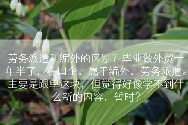 劳务派遣和编外的区别？毕业做外贸一年半了，在国企，属于编外，劳务派遣。主要是跟单这块，但觉得好像学不到什么新的内容，暂时？