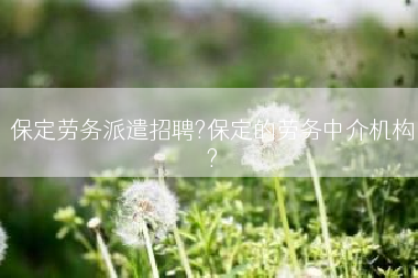 保定劳务派遣招聘?保定的劳务中介机构?
