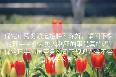 保定市劳务派遣招聘？你好，请问下保定环宇中介去奥大利亚的事是真的吗？保定环宇出国劳务公司正规吗？会不会是骗子公司？