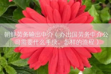 朝鲜劳务输出中介（办出国劳务中介公司需要什么手续，怎样的流程）