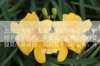 上海三大件？上海有哪些劳务市场？针对中低学历的，不是人才招聘会那种要投简历面试的，貌似每个区都会有，先谢谢啦？