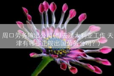 周口劳务输出公司(想去澳大利亚工作 天津有哪些正规出国劳务公司？)