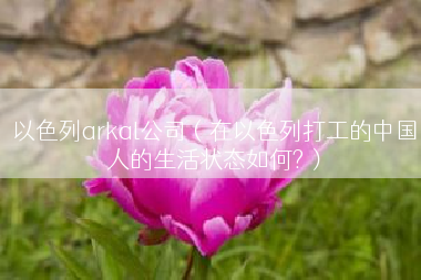 以色列arkal公司（在以色列打工的中国人的生活状态如何?）
