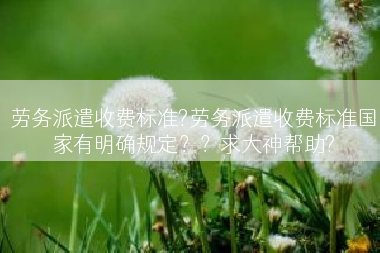 劳务派遣收费标准?劳务派遣收费标准国家有明确规定？？求大神帮助?