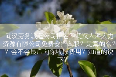 武汉劳务派遣公司排名？武汉人海人力资源有限公司免费安排入职？是真的么？？会不会最后向你收取费用？知道的说一下？