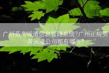 广州劳务派遣信息管理系统?广州正规劳务派遣公司都有哪些?