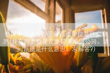 参保单位是否为劳务派遣单位是什么意思(我在网上看见元豪劳务派遣公司。请问派遣是什么意思。求解答?)
