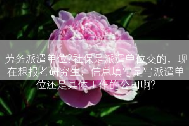 劳务派遣单位?社保是派遣单位交的，现在想报考研究生，信息填写是写派遣单位还是具体工作的公司啊?