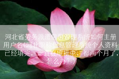 河北省劳务派遣信息管理系统如何主册用户名(河北职称信息管理系统个人资料已经填完，一直在审批中，都两个月了，怎么办？)