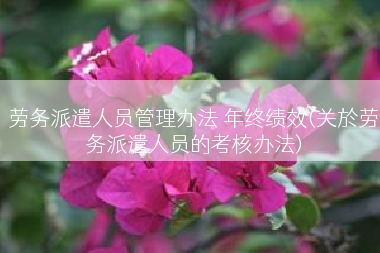 劳务派遣人员管理办法 年终绩效(关於劳务派遣人员的考核办法)