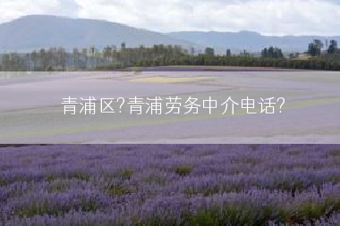 青浦区?青浦劳务中介电话?