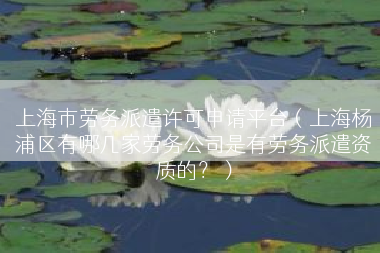 上海市劳务派遣许可申请平台（上海杨浦区有哪几家劳务公司是有劳务派遣资质的？）