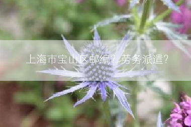 上海市宝山区邮编？劳务派遣？
